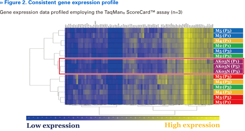 Figure 2. Consistent gene expression profile