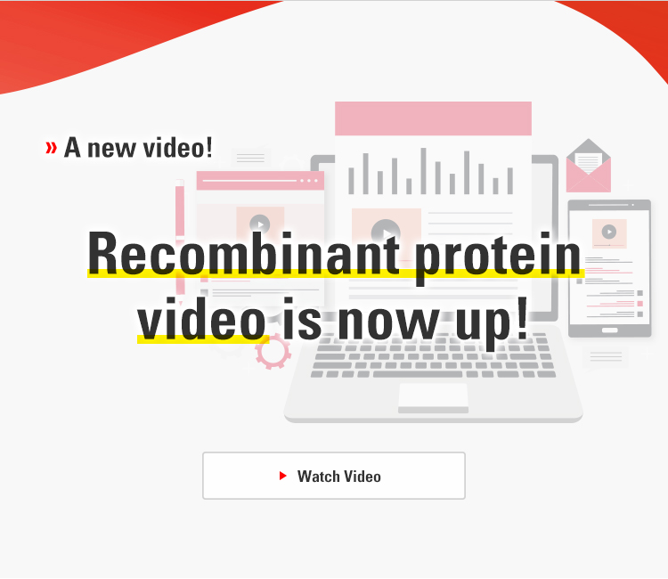 Recombinant protein video is now up!