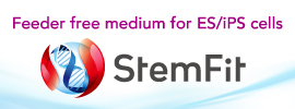 StemFit