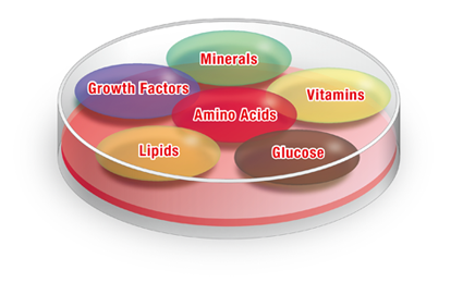 Culture Medium Components