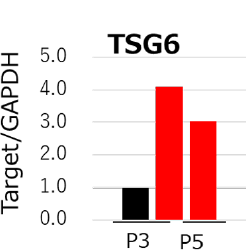 Fig1