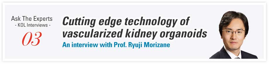 Ask The Experts - KOL Interviews - 03 Cutting edge technology of vascularized kidney organoids An interview with Prof. Ryuji Morizane