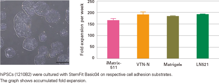 Single-Cell Expansion