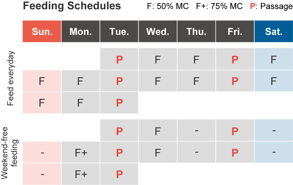 Skip feeding on weekends for flexible scheduling