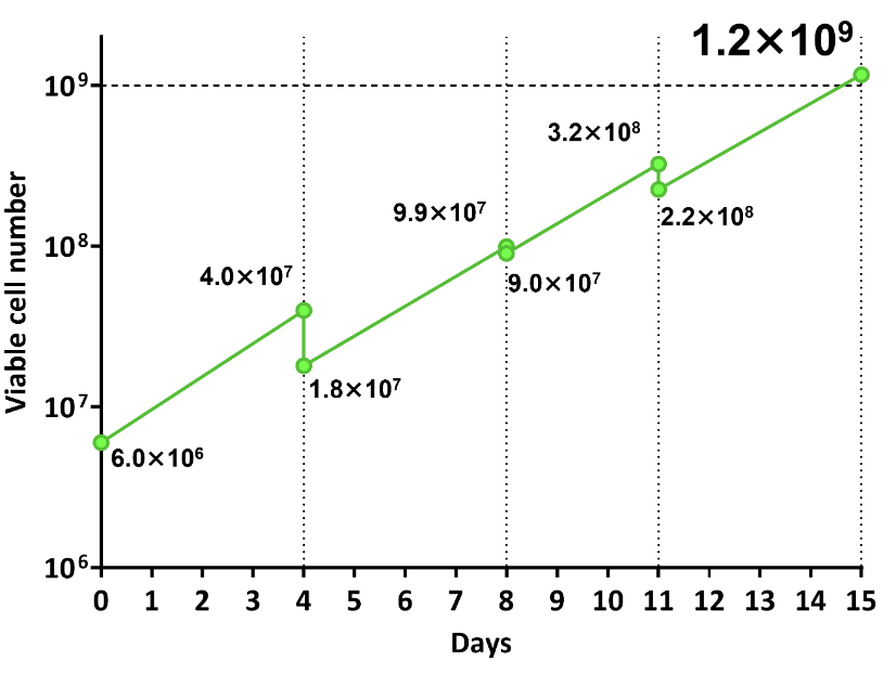 Skip feeding on weekends for flexible scheduling