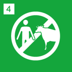 Animal Origin-Free