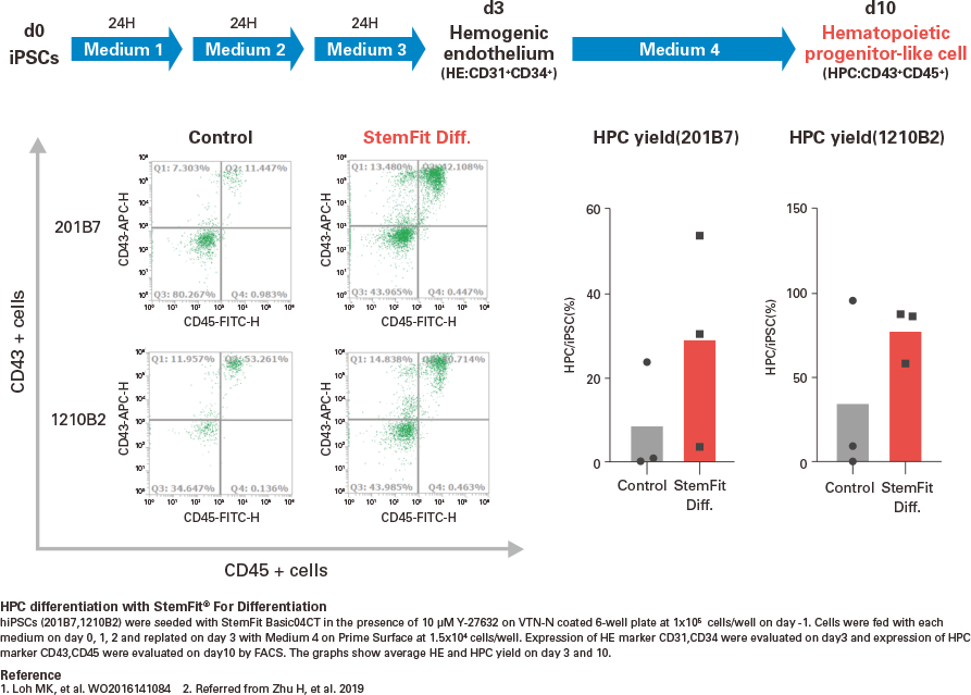 Successful differentiation of iPSC-derived hematopoietic progenitors under defined and animal origin free conditions