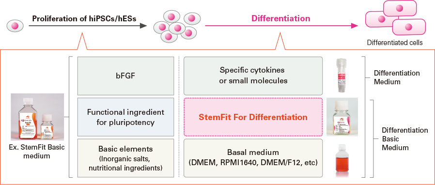 Product Information StemFit For Differentiation