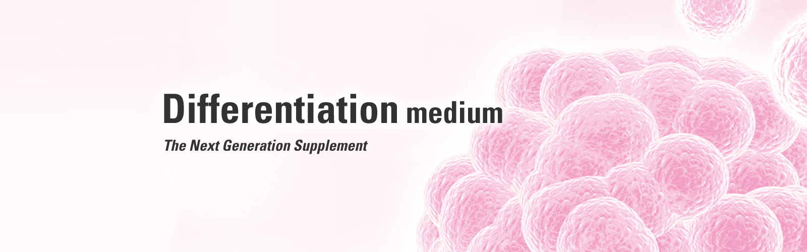 Differentiation medium The Next Generation Supplement