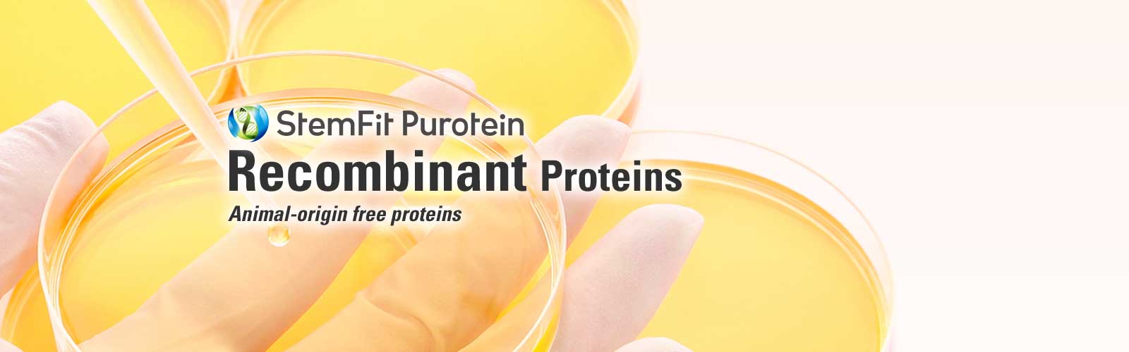 StemFit Puroteins Recombinant Proteins Animal-origin free proteins