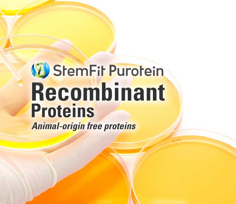 StemFit Puroteins Recombinant Proteins Animal-origin free proteins