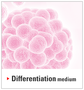 Differentiation medium