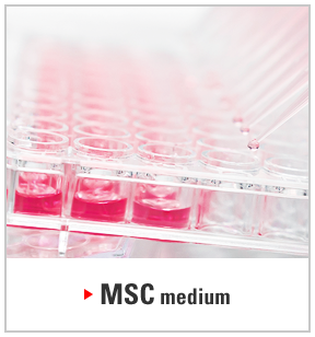 MSC medium