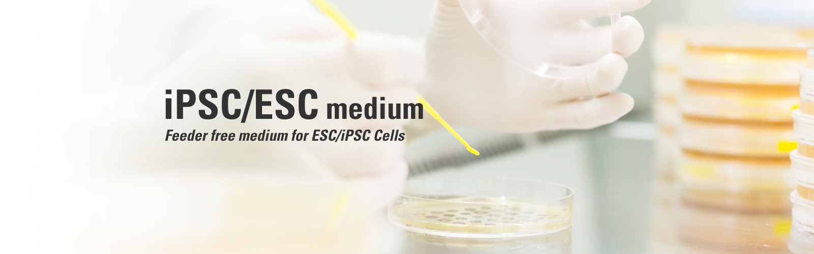 iPSC/ESC medium Feeder free medium for ESC/iPSC Cells