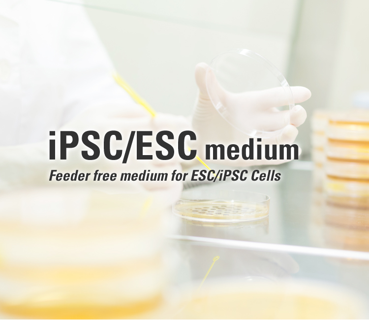 iPSC/ESC medium Feeder free medium for ESC/iPSC Cells