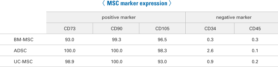 〈 MSC marker expression 〉