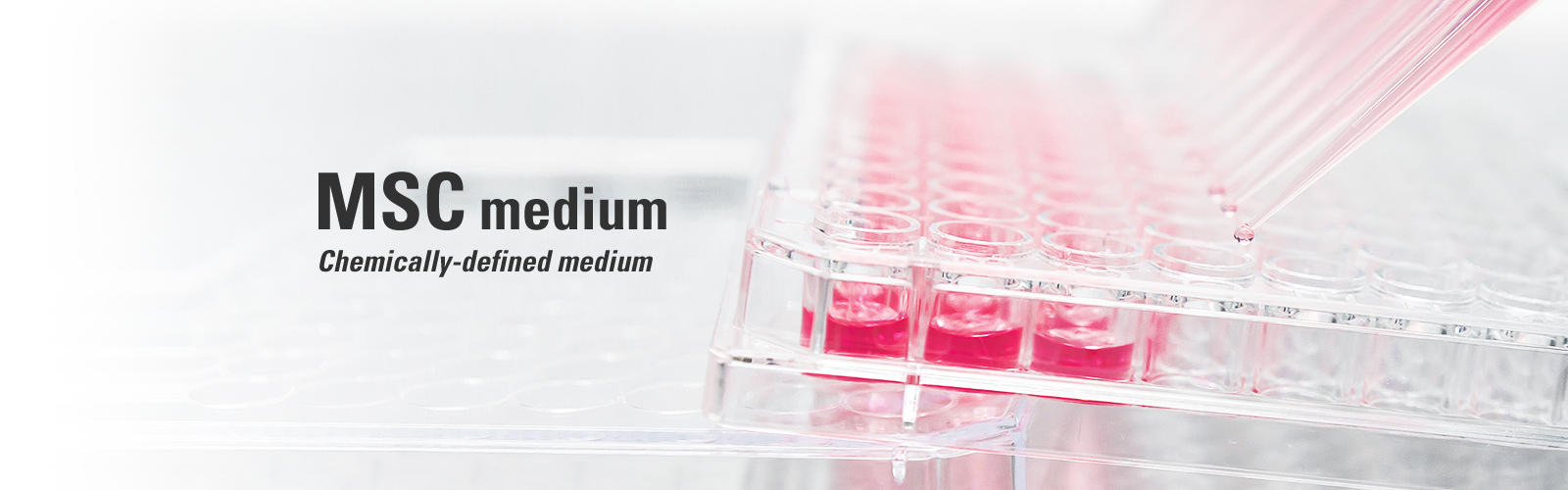MSC medium Chemically-defined & Animal-origin free medium