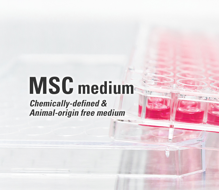 MSC medium Chemically-defined & Animal-origin free medium