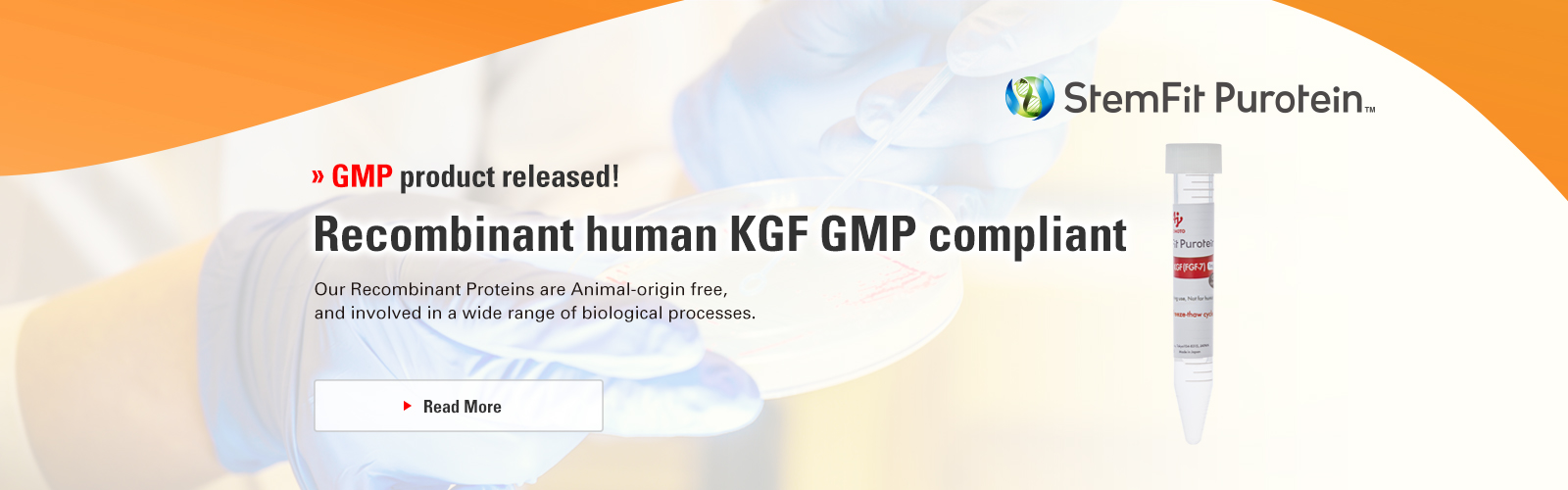 New product released! Recombinant human KGF Our Recombinant Proteins are Animal-origin free, and involved in a wide range of biological processes. Read More