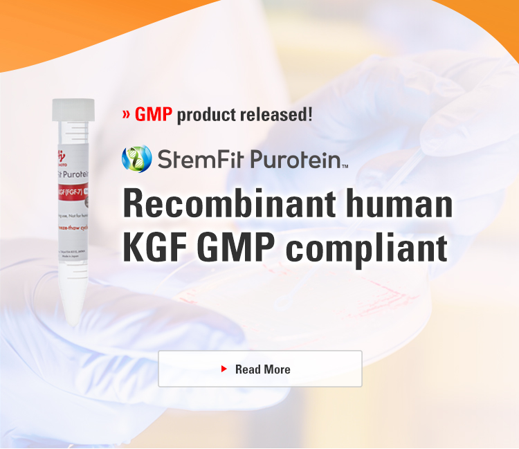 New product released! Recombinant human KGF and involved in a wide range of biological processes.and involved in a wide range of biological processes. Read More