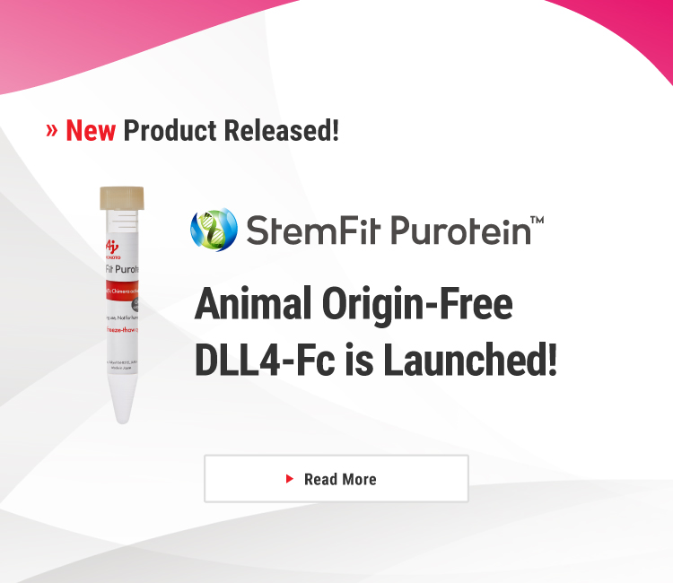 Animal Origin-Free DLL4-Fc is Launched!