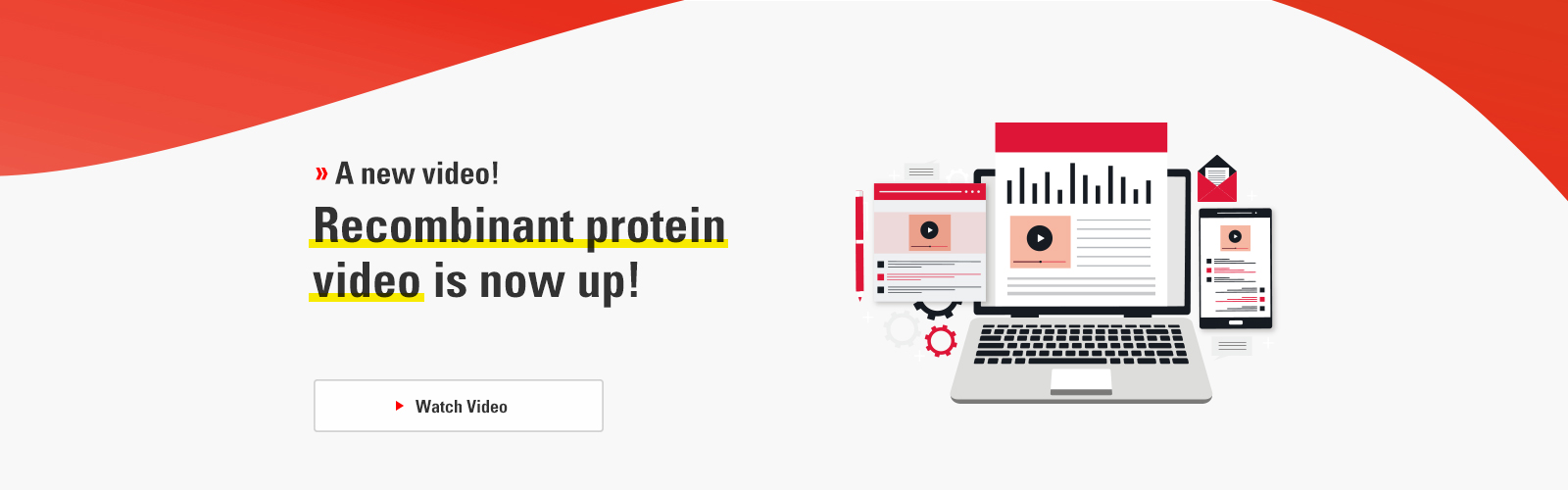 Recombinant protein video is now up!