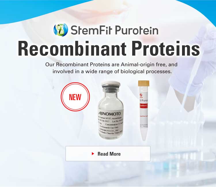 Recombinant Proteins Our Recombinant Proteins are Animal-origin free, and involved in a wide range of biological processes. NEW StemFit Puroteins Read More